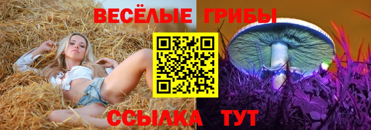 Псилоцибиновые грибы Psilocybine cubensis  Псилоцибиновые грибы MAGIC MUSHROOMS  Магнитогорск  Вход с VPN 